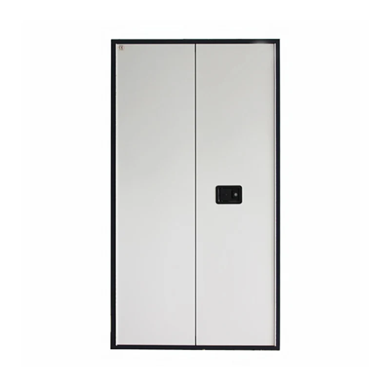 Sprogimui atspari dokumentų laikymo spinta